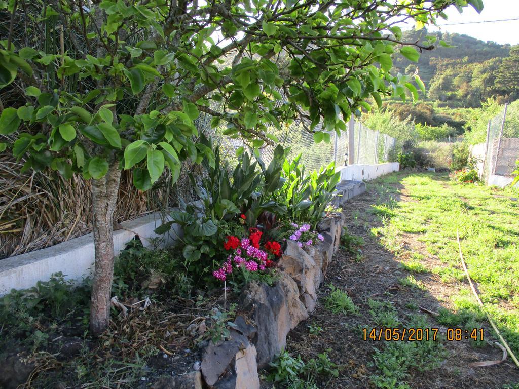 Casa Rural Cho Agustin Guest House Erjos-El Tanque Bagian luar foto